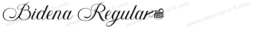 Bidena Regular字体转换